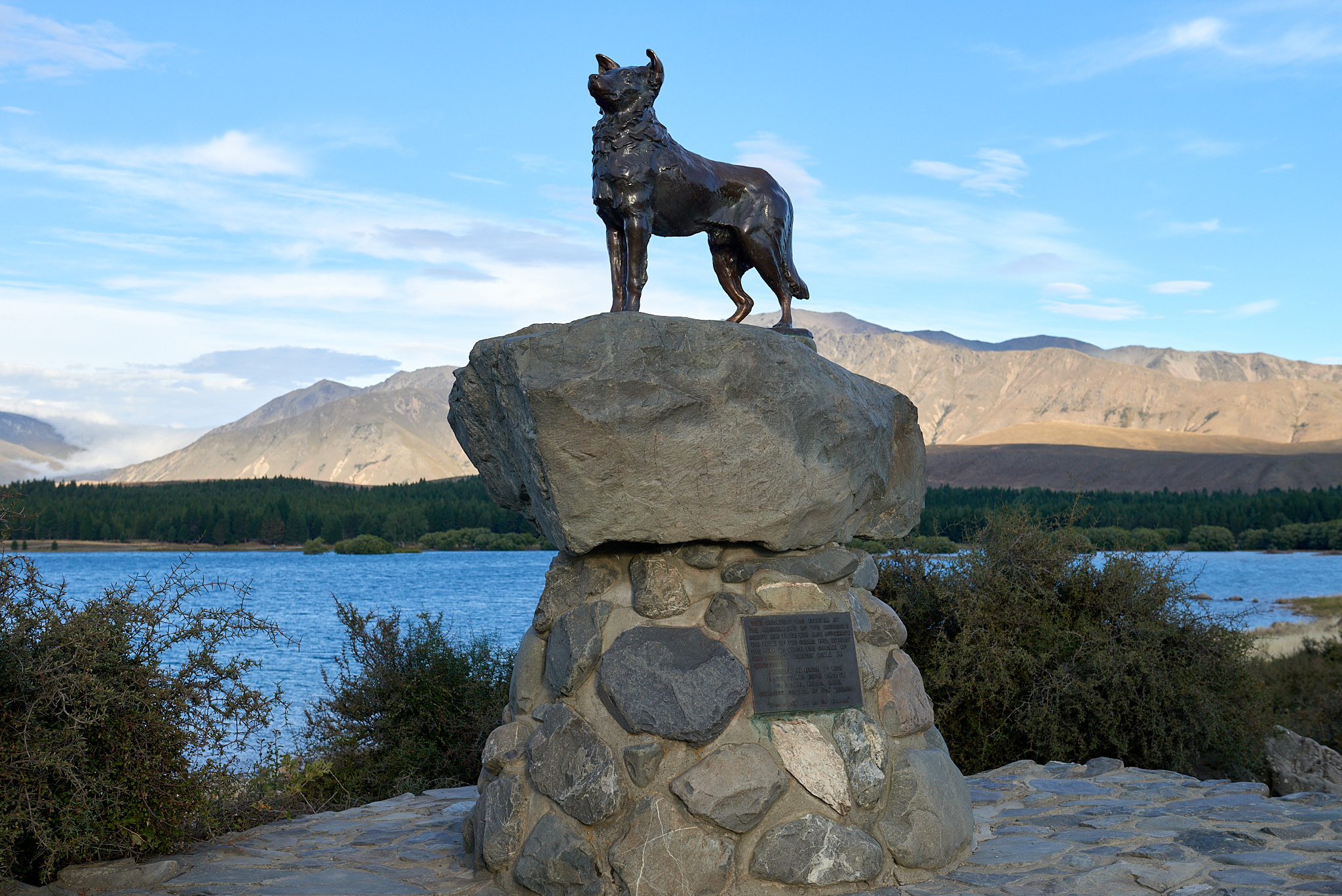 20180125 048 뉴질랜드 테카포 호수 개 동상